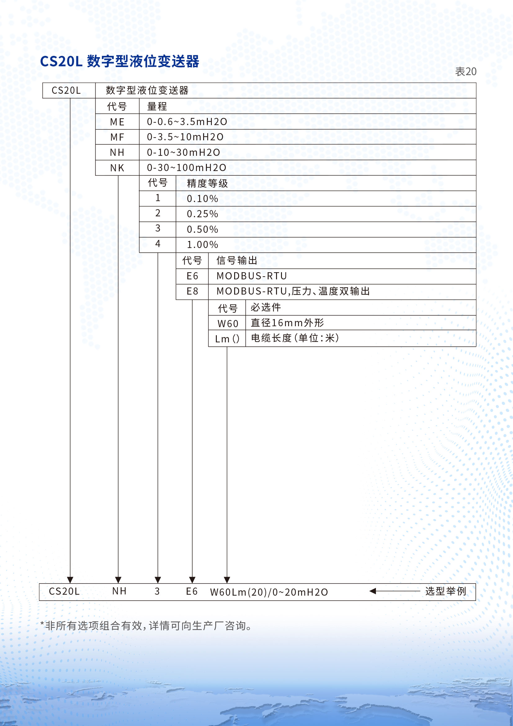 CS20L數(shù)字型液位變送器詳情頁(yè)2.jpg